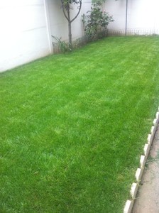Andrade Jardin