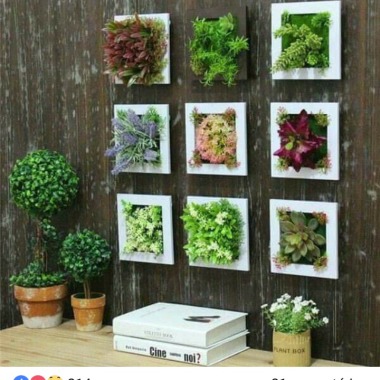 Life Decor
