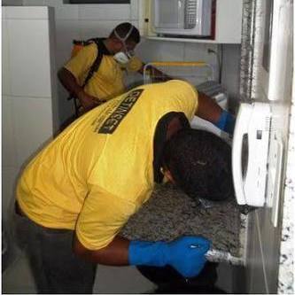 Detinset Saúde Ambiental & Sanitária