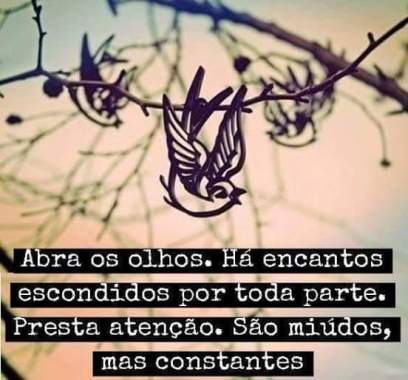 Nossa saúde e bem-estar emocional não dependem apenas da ausência de doenças.