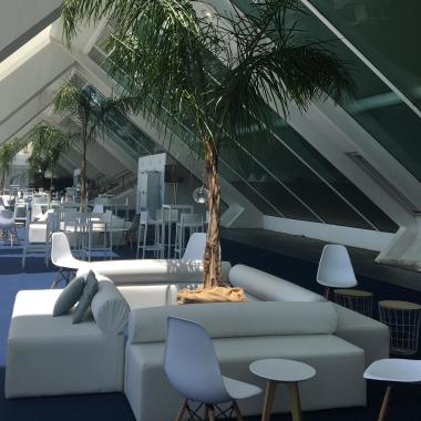 Belinda Duarte Eventos