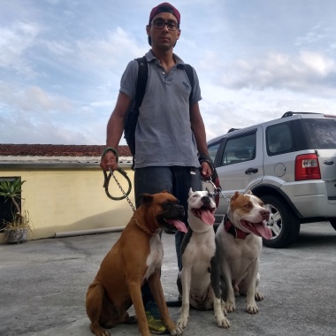 Dog Walker Profissional