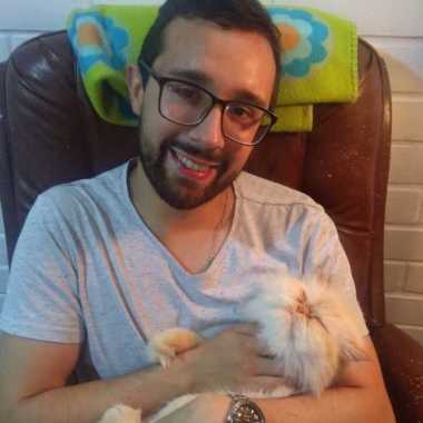 Paseador De Perros