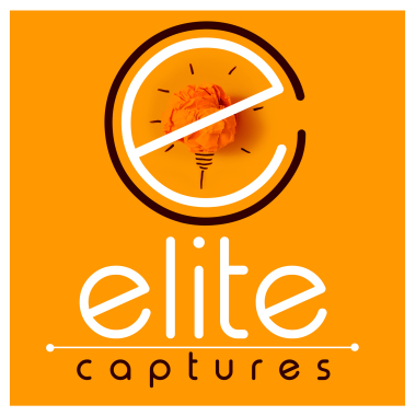 Elite Captures
