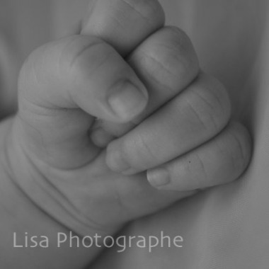 Lisa Photographe