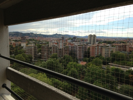 Installazione rete  antipiccioni a protezione di unterrazzo
