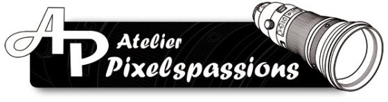 Atelier Pixelspassions
