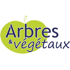 Arbres Et Végétaux