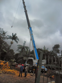 PERFORMANCE   AMBIENTAL 
corte e podas de arvores jardinagem e paisagismos somos uma empresa especializada orçamento sem compromisso www.performaceambiental.com.br