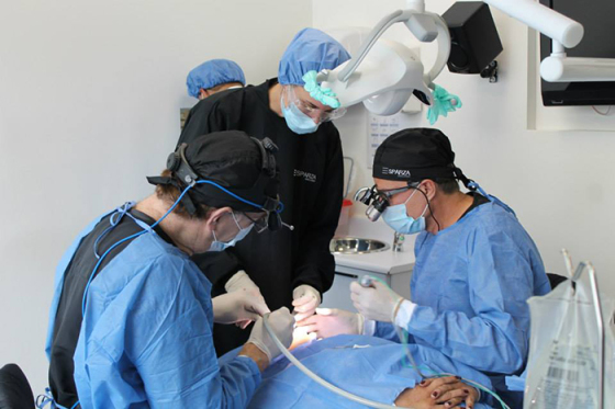 Docente implantología dental y regeneración ósea con dres. de 