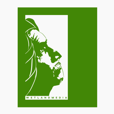 Wetland Media