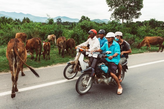 Vietnam