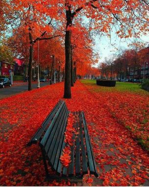 Parque