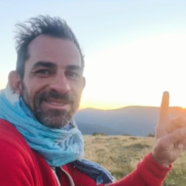 Alsace Guêpes Frelons