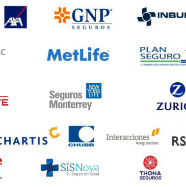 Seguros Y Fianzas Cesar Luna