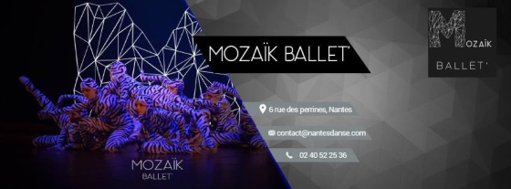 L'Atelier du Mouvement - Alexandra GERARD - Mozaïk Ballet