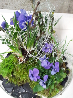 jardin paysagé sous cloche