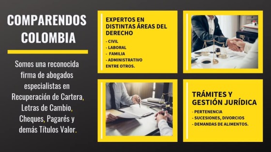 Expertos en distintas áreas del Derecho.