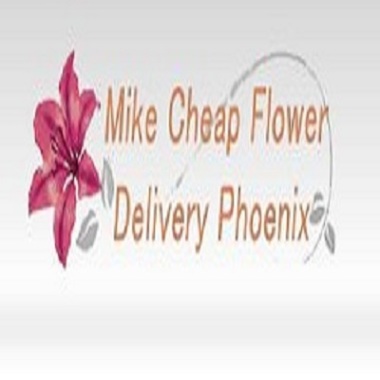 Order Same Day Flower Delivery Phoenix Az