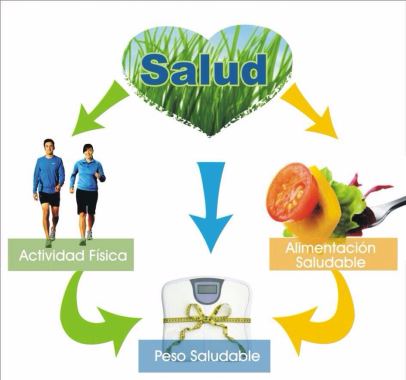 Excelente Nutricion sofisticada y sanos alimentos