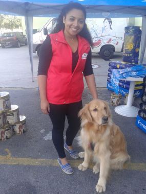 Trabalho Royal Canin
