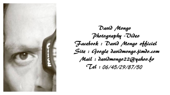 Carte de visite ( n'hésitez pas à me contacter bonne visite à vous ) Cordialement  !