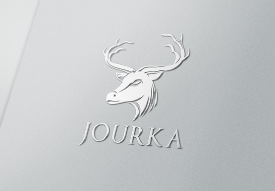 Logo créer pour une marque de Vodka
