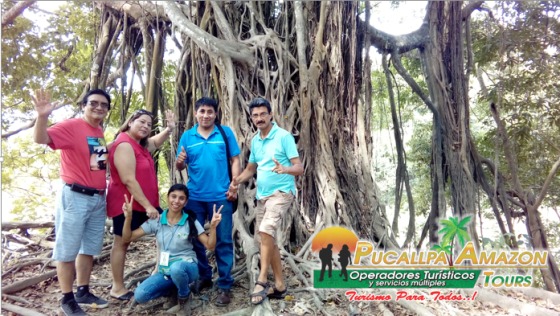 RENACOS ( LAGUNA YARINACOCHA)