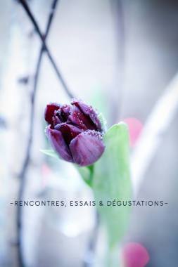 Instant Mariage