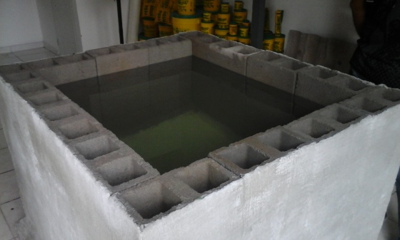 Tanque em blocos de concreto com aplicação somente pelo lado externo 