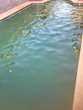 Piscina con agua turbia primera visita