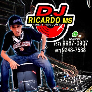 Dj Ricardo Ms