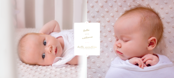 Newborn portrait photography