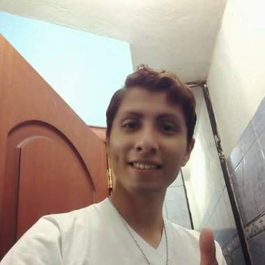 Paseador De Perros