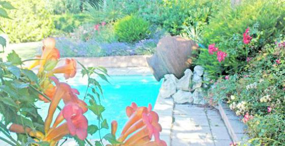 Le Jardin Se Crée