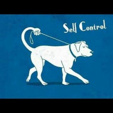 George Pet Care Services