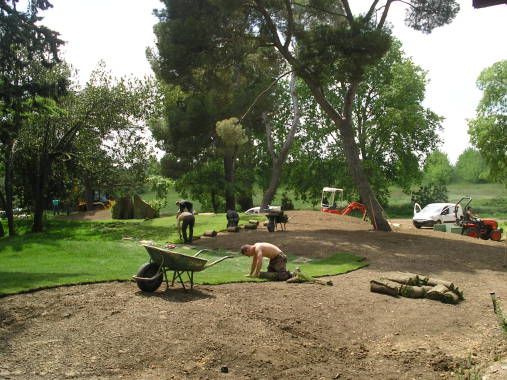installation d'une pelouse en plaque
