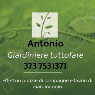 Antonio