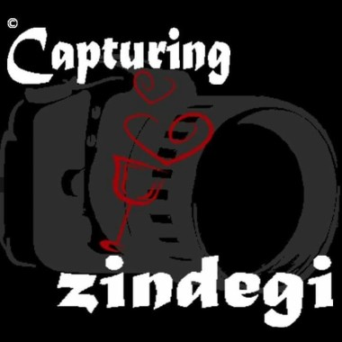 Capturing Zindegi
