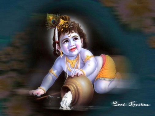 Shree Krishna Tours & Travels