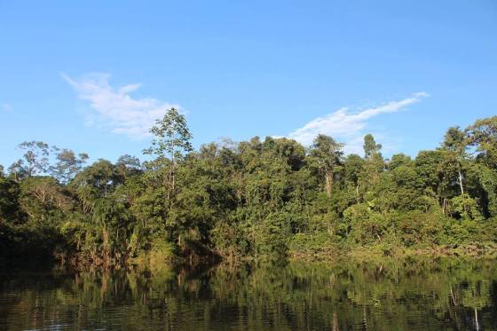 Parque Nacional Yasuní