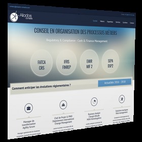 Cabinet de Conseils / SSII