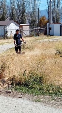 desmalezando condominio algarrobal