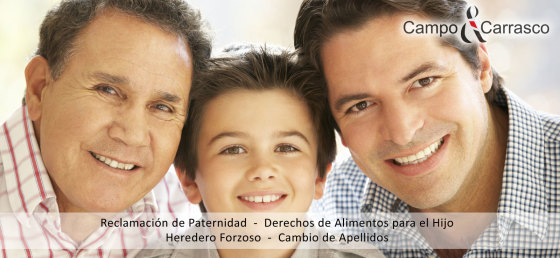 Reclamación de paternidad, Derechos de Alimentos, Heredero Forzoso, Cambio de Apellidos...
