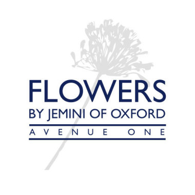 Jemini Oxford Ltd
