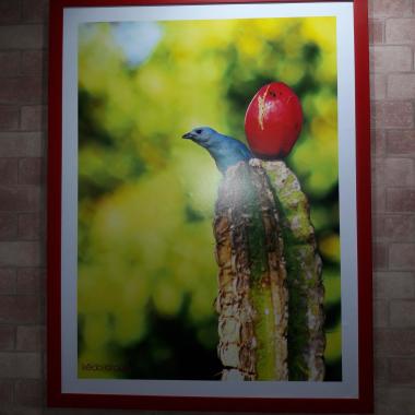 Kécio Araújo Fotografia