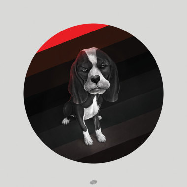 Pet portrait