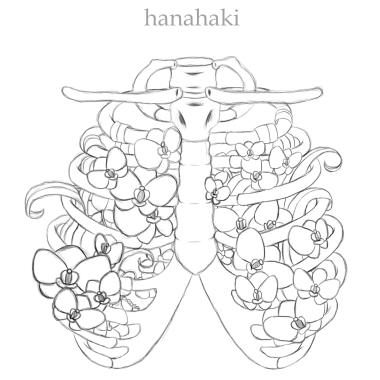 Nyararanko