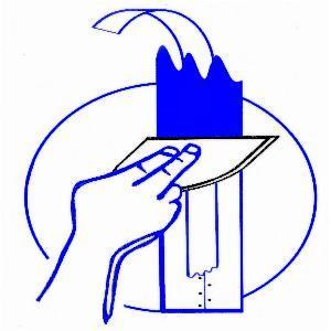 Lisines 24