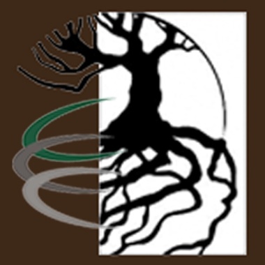 Vrukshagra Consulting Services (Vcs)